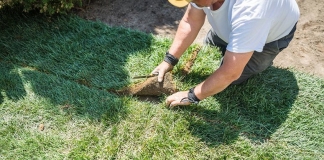 Como plantar grama: Pasos a passo e dicas para garantir que a relva sobreviva Como plantar grama